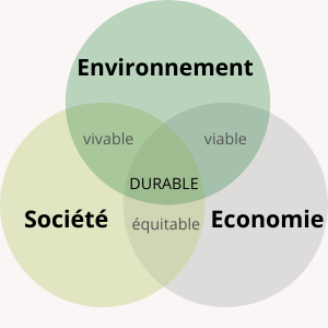 Schéma avec trois cercles représentant les pilliers du développement durable (environnement, socité et économie) qui se croisent deux à deux dans une valeur et qui au centre donnent le développement durable. L'environnement et la société se croisent sur la valeur vivable. L'environnement et l'économie se croisent sur la valeur équitable. La société et l'économie se croisent sur la valeur équitable.